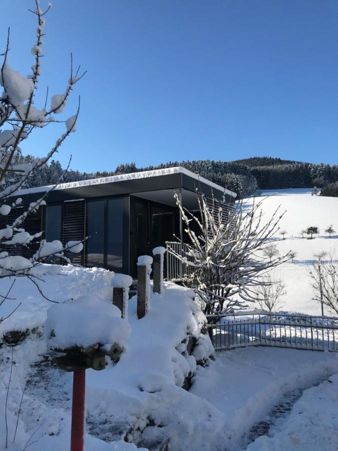 S-Suite Das Design-Ferienhaus Im Schwarzwald Biberach  Bagian luar foto