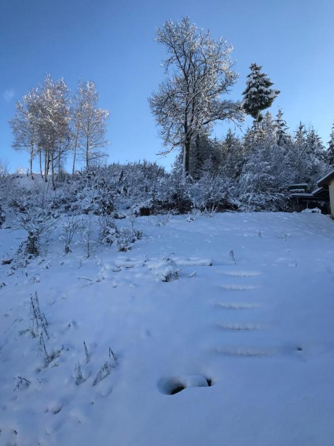 S-Suite Das Design-Ferienhaus Im Schwarzwald Biberach  Bagian luar foto